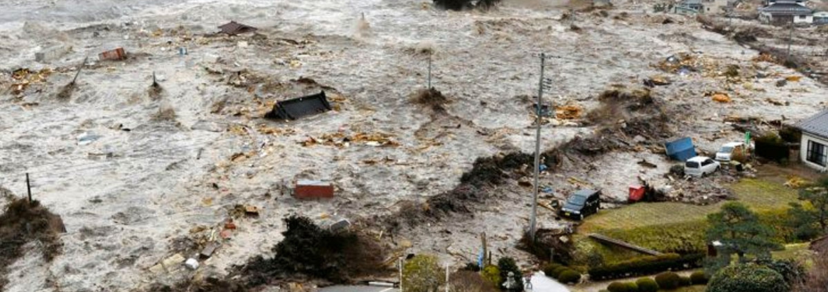 Un tsunami golpea la costa